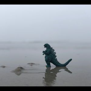 Meet your Posher, Felicia